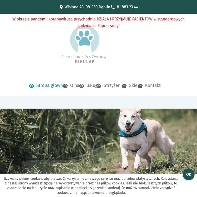 Dęblin - weterynarz lubelskie