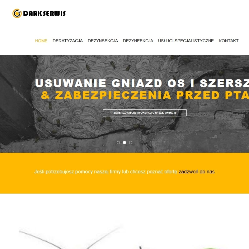 Usuwanie pluskiew w Gliwicach