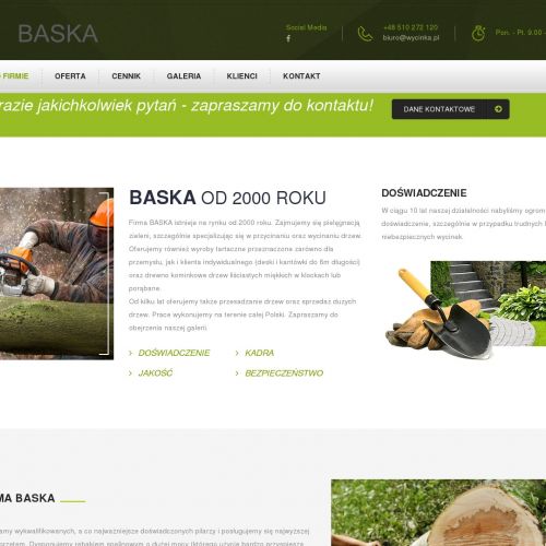 Wycinka drzew firmy śląskie - Ruda śląska