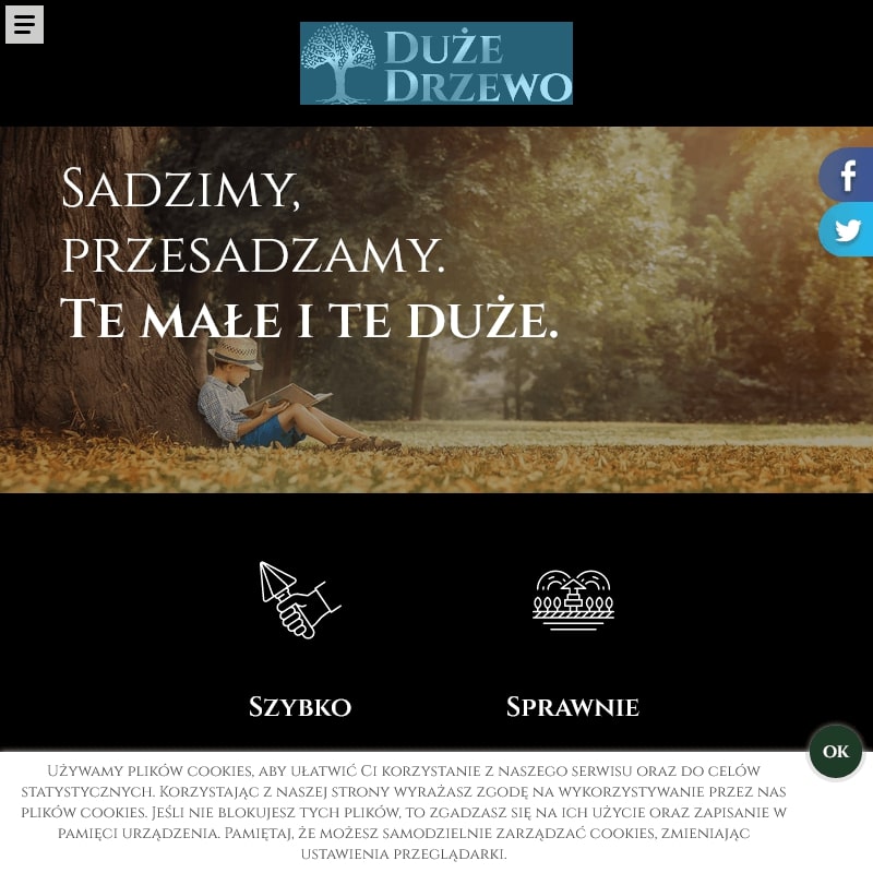 Przesadzanie dużych drzew ceny