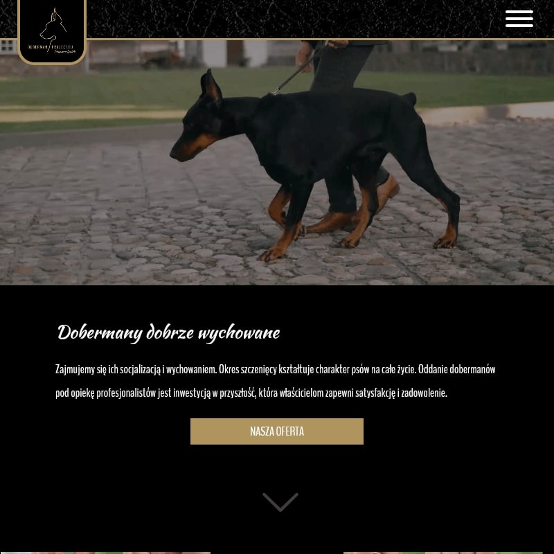 Doberman Wrocław