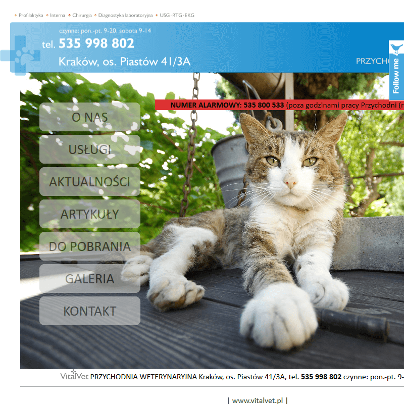 Koci fryzjer w Wieliczce